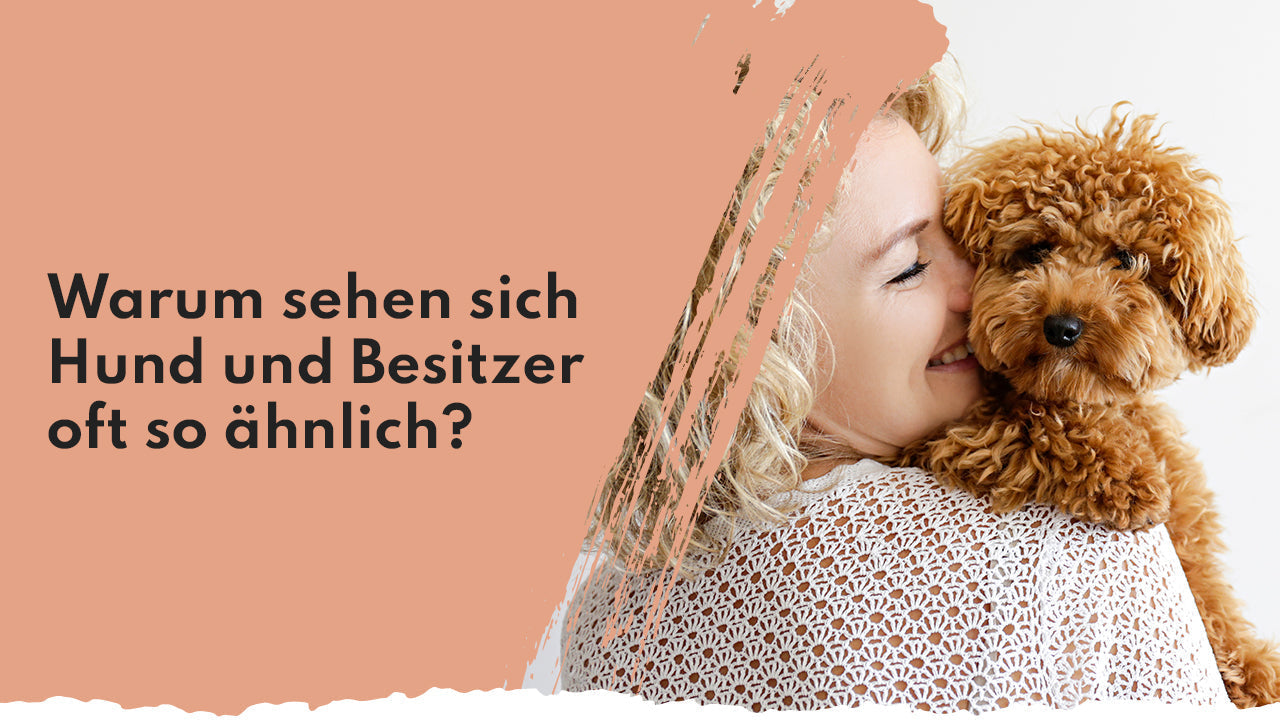 Warum sehen sich Hund und Besitzer oft so ähnlich? | people who kaer People Who Kaer Ähnlichkeit Hund und Besitzer