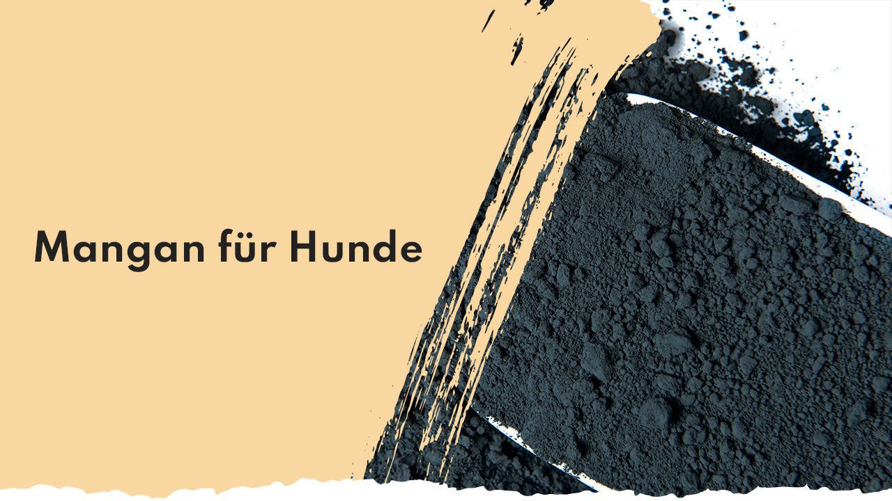 Mangan für Hunde - eine kleine Einführung in Spurenelementen People Who Kaer Mangan für Hunde
