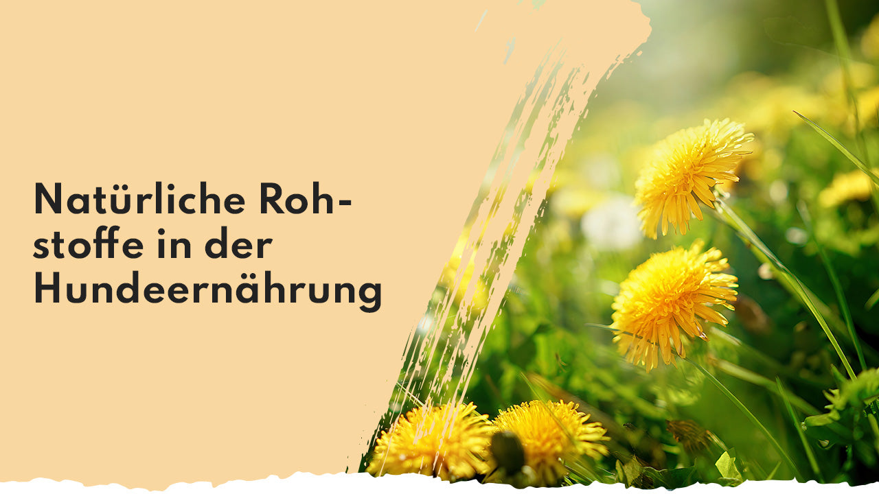 Natürliche Rohstoffe in der Hundeernährung People Who Kaer natürliche Rohstoffe Hundeernährung