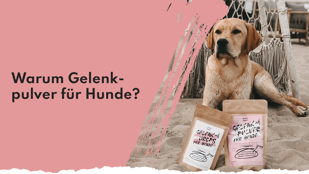 Warum Gelenkpulver? People Who Kaer Warum Gelenkpulver