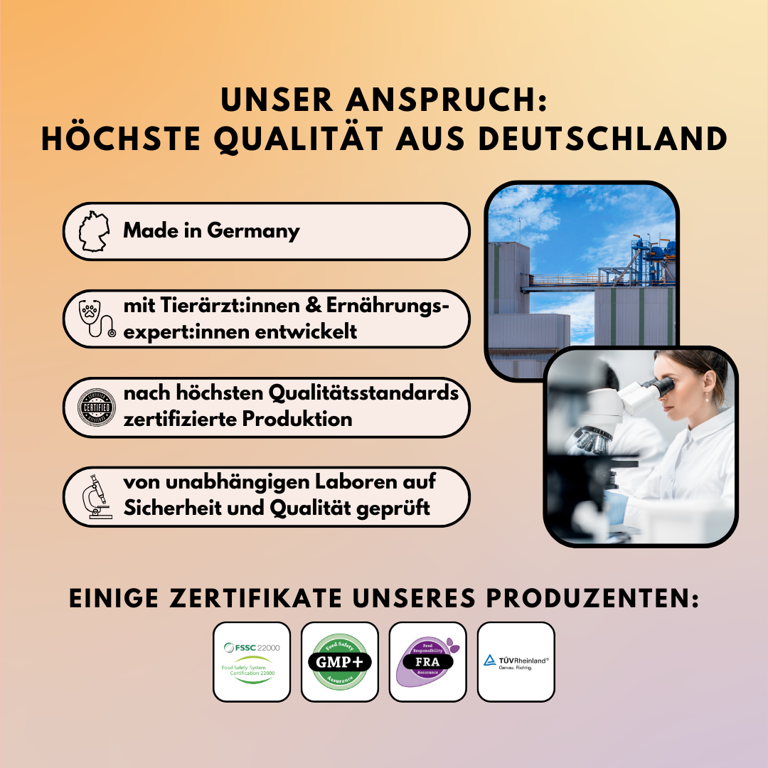 Sparset - "Pulver für Allergiker & Mäkler" (Gelenkpulver + Darmpulver)