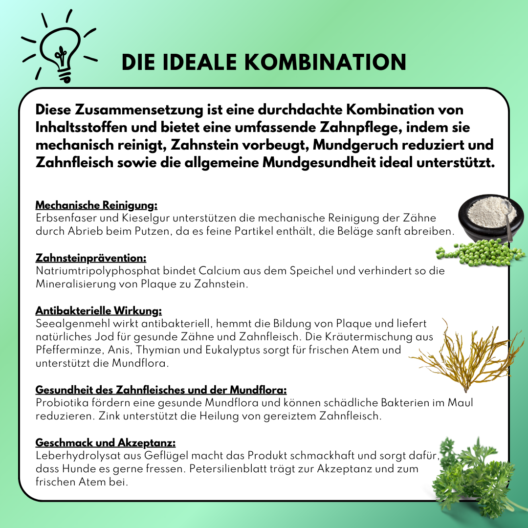 Zahn Frische (200g) für Hunde – Bei Maulgeruch, Zahnbelag & Zahnstein – Natürlich mit Pfefferminze & Thymian Zahn Frische (200g) für Hunde – Bei Maulgeruch, Zahnbelag & Zahnstein – Natürlich mit Pfefferminze & Thymian