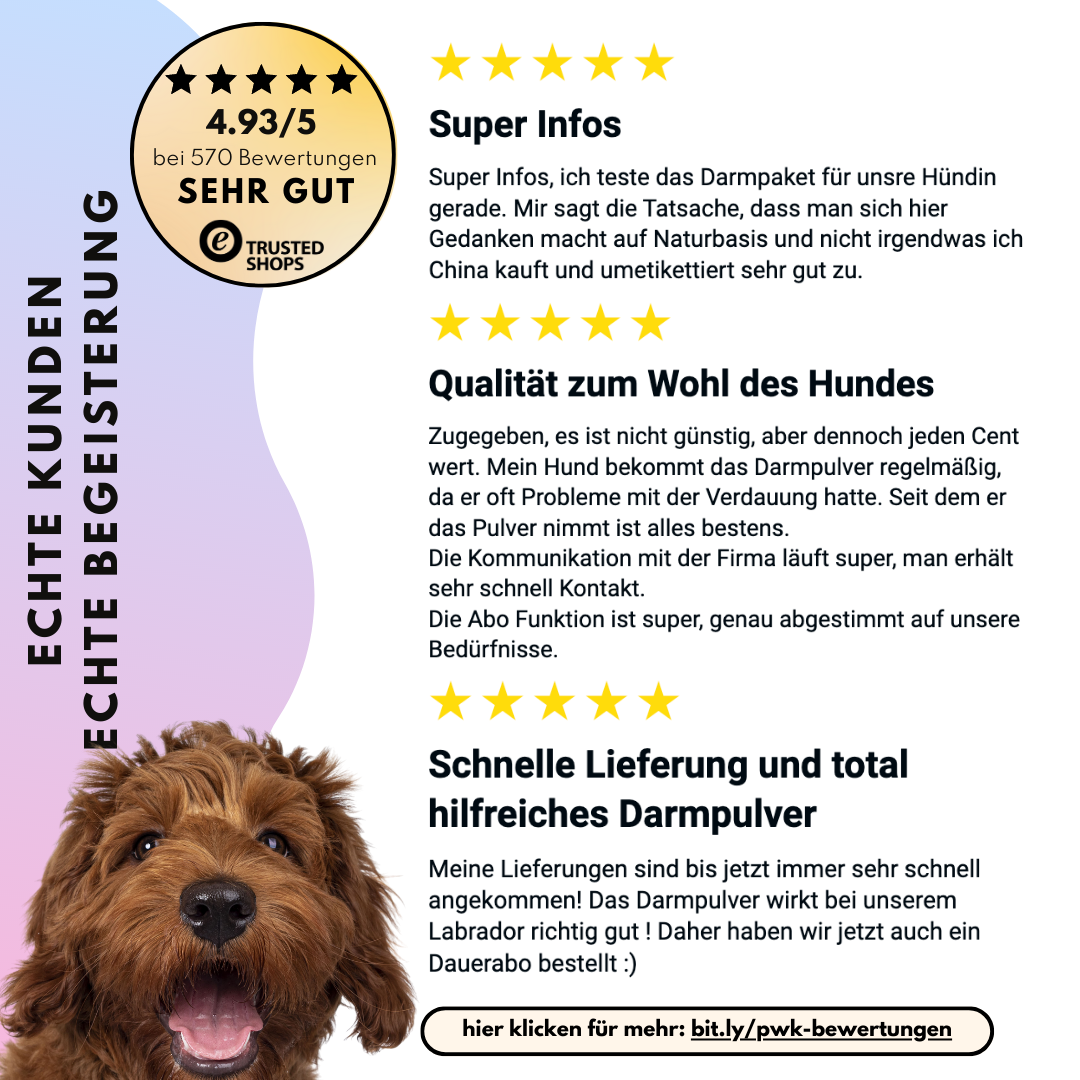 Darmpulver für Hunde mit Prä- & Probiotika, Anis, Kümmel und Flohsamenschalen (200g) Darmpulver für Hunde mit Prä- & Probiotika, Anis, Kümmel und Flohsamenschalen (200g)