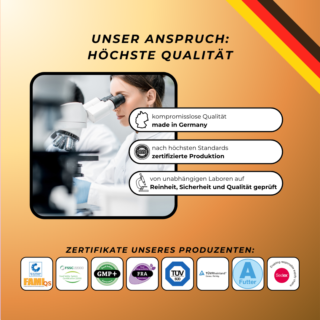 Express Kürbissuppe (kurzes MHD) | Sanfte Unterstützung bei Durchfall & sensibler Verdauung (200g) Express Kürbissuppe (kurzes MHD) | Sanfte Unterstützung bei Durchfall & sensibler Verdauung (200g)