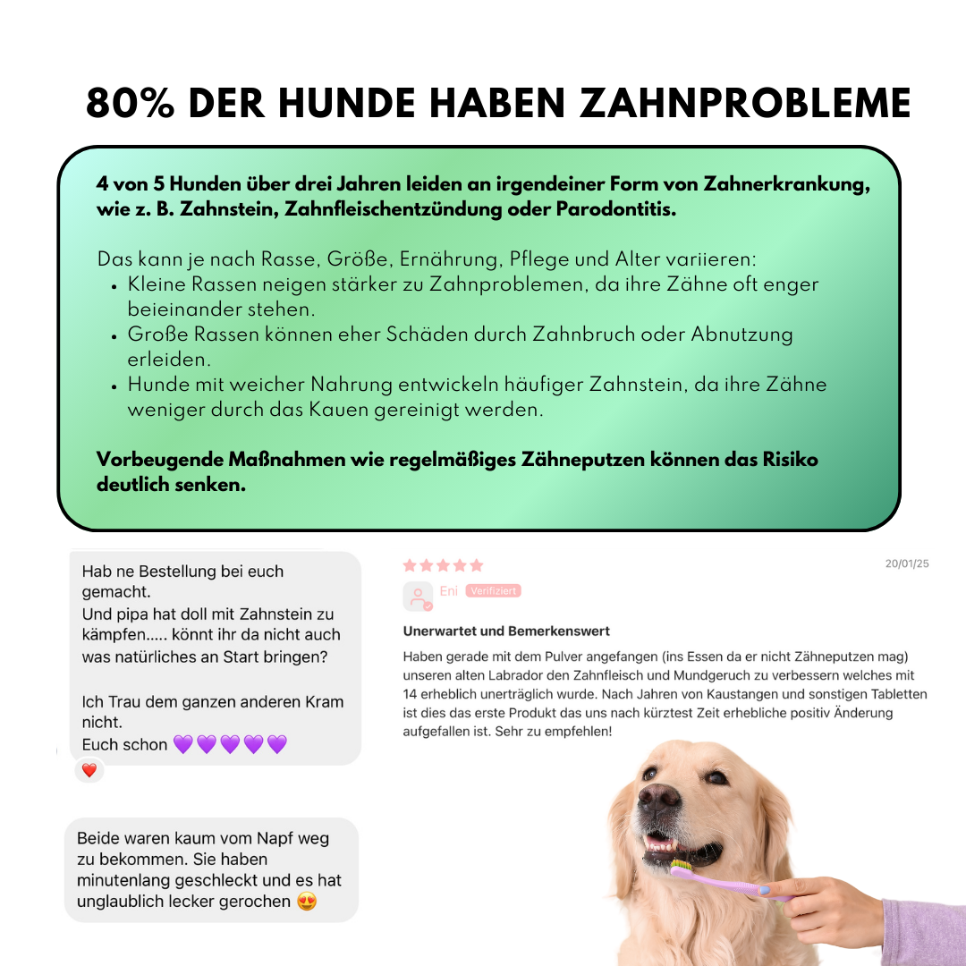 Zahn Frische mit Pfefferminze und Eukalyptus (200g) Zahn Frische mit Pfefferminze und Eukalyptus (200g)