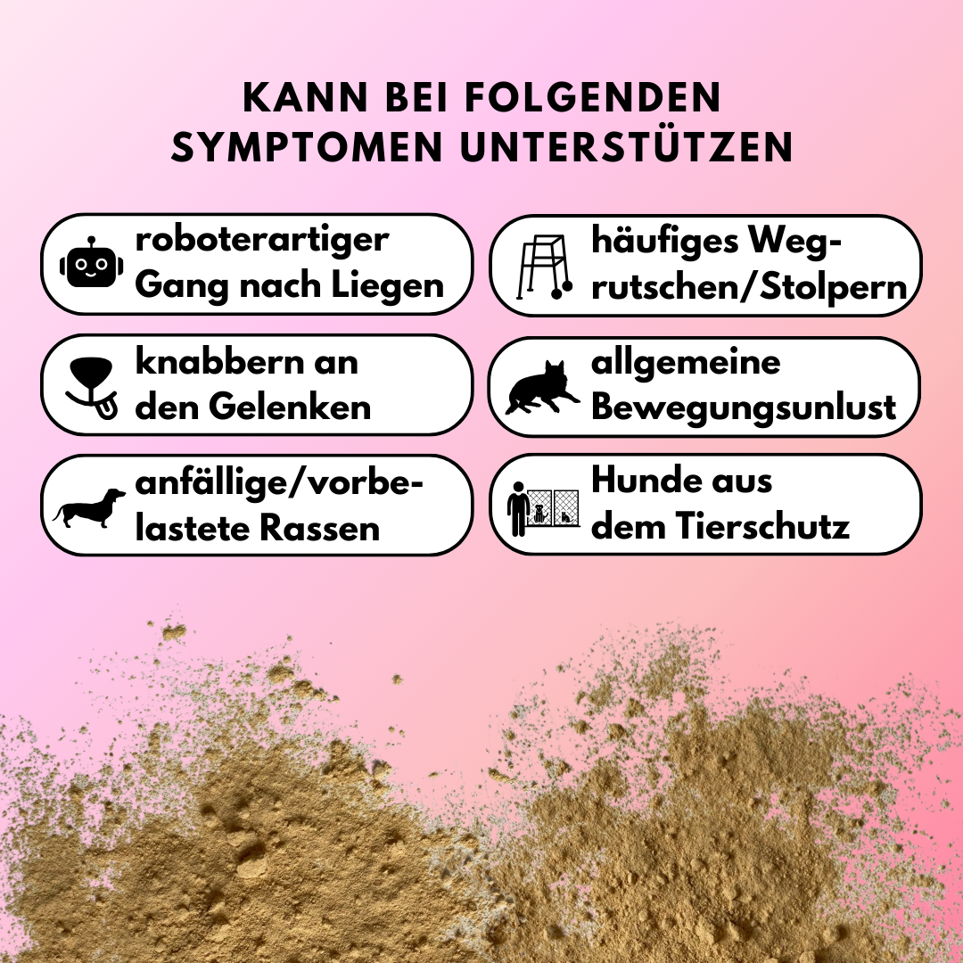 Gelenkpulver für Hunde mit Glucosamin, Grünlippmuschel & Kurkuma (200g) Gelenkpulver für Hunde mit Glucosamin, Grünlippmuschel & Kurkuma (200g)