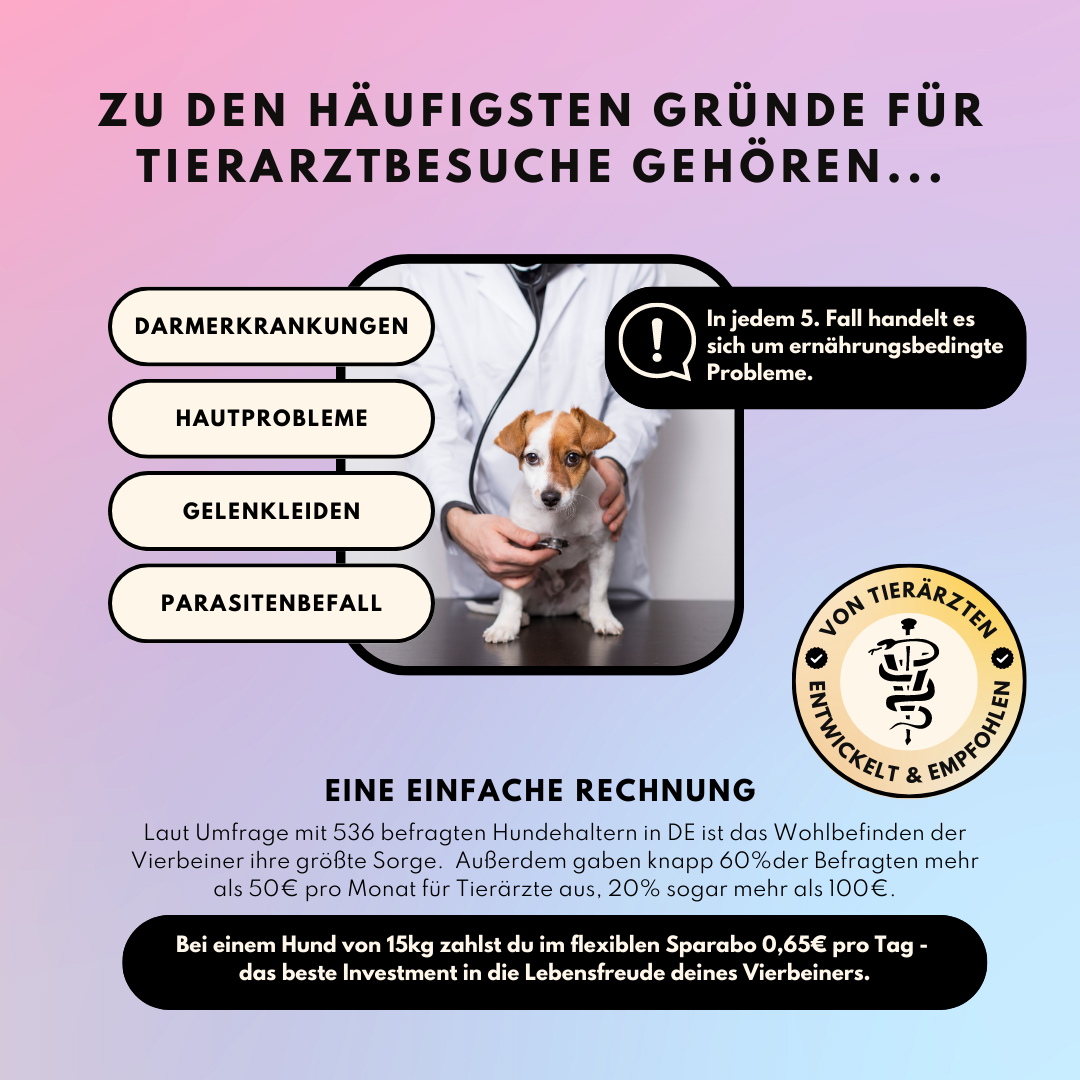 Darmpulver für Hunde mit Prä- & Probiotika, Anis, Kümmel und Flohsamenschalen (200g)