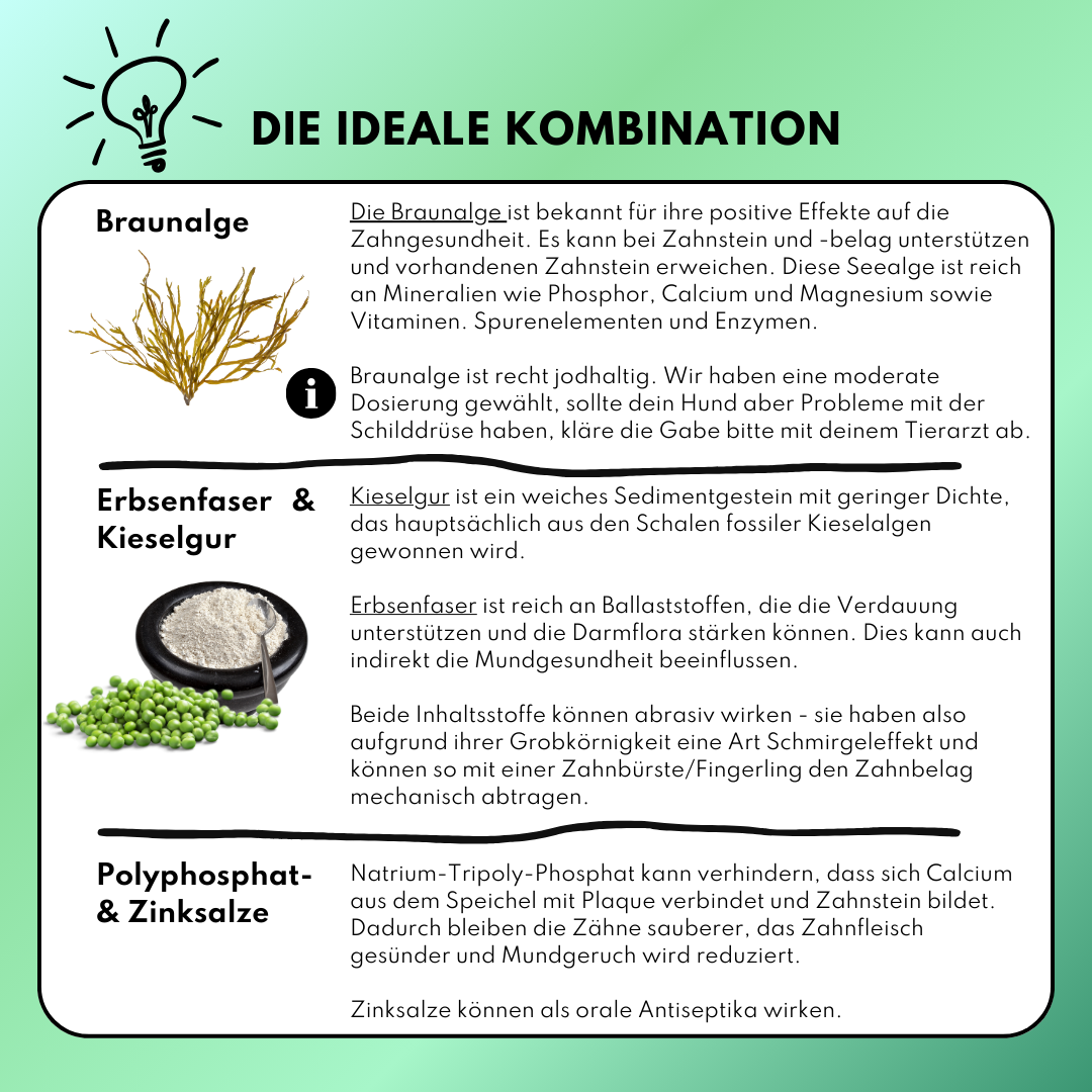 Zahn Frische mit Pfefferminze und Eukalyptus (200g) Zahn Frische mit Pfefferminze und Eukalyptus (200g)