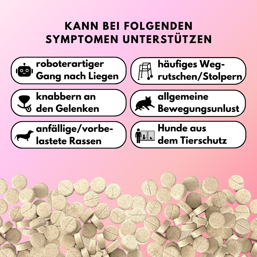 Gelenktabletten mit Glucosamin, Grünlippmuschel und Kurkuma (60 Stk.) Gelenktabletten mit Glucosamin, Grünlippmuschel und Kurkuma (60 Stk.)