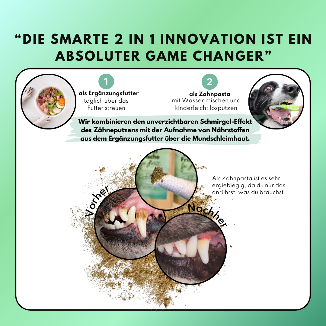 Zahn Frische mit Pfefferminze und Eukalyptus (200g) Zahn Frische mit Pfefferminze und Eukalyptus (200g)