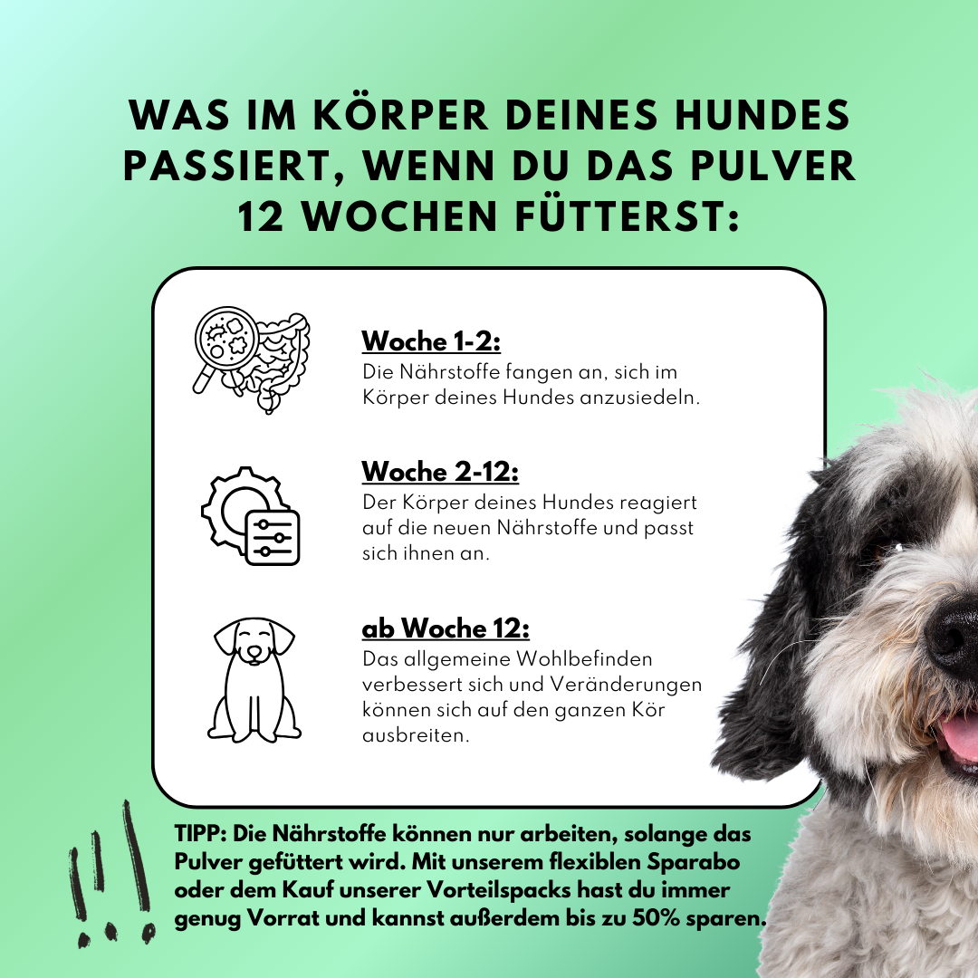 Zahn Frische (200g) für Hunde – Bei Maulgeruch, Zahnbelag & Zahnstein – Natürlich mit Pfefferminze & Thymian Zahn Frische (200g) für Hunde – Bei Maulgeruch, Zahnbelag & Zahnstein – Natürlich mit Pfefferminze & Thymian