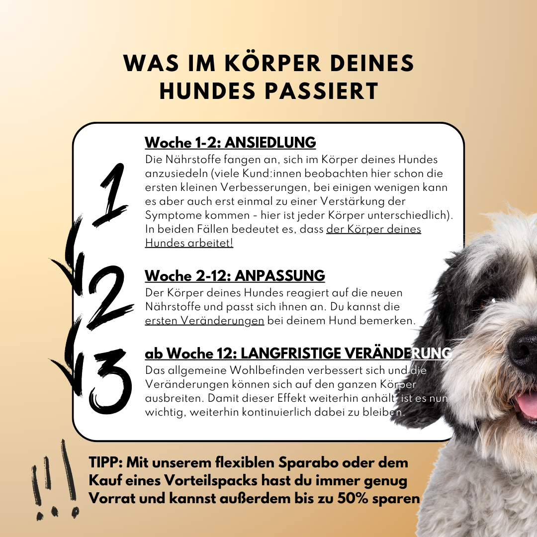 Darmpulver für Allergiker und Mäkler (200g) Darmpulver für Allergiker und Mäkler (200g)