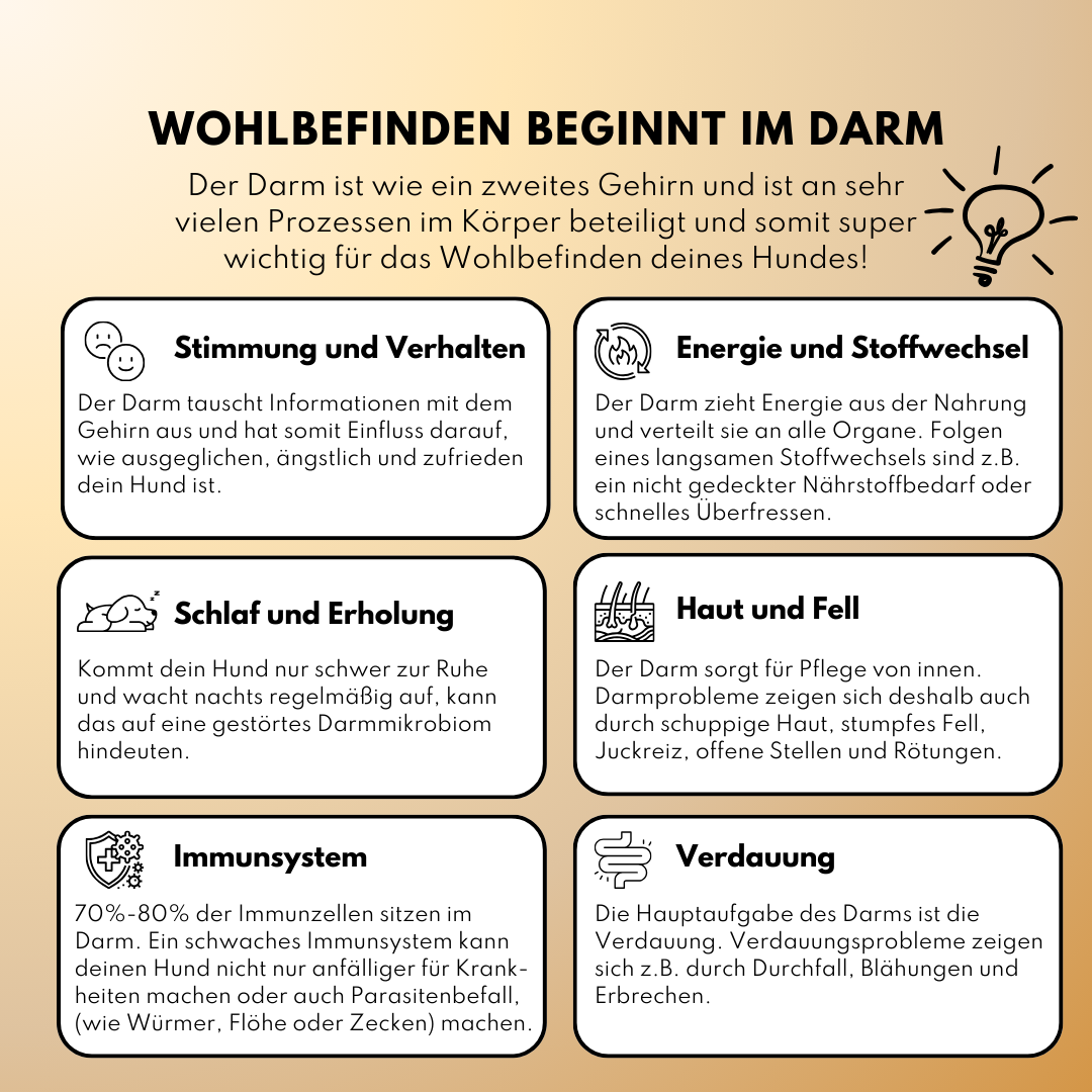 Darmpulver für Allergiker und Mäkler (200g) Darmpulver für Allergiker und Mäkler (200g)