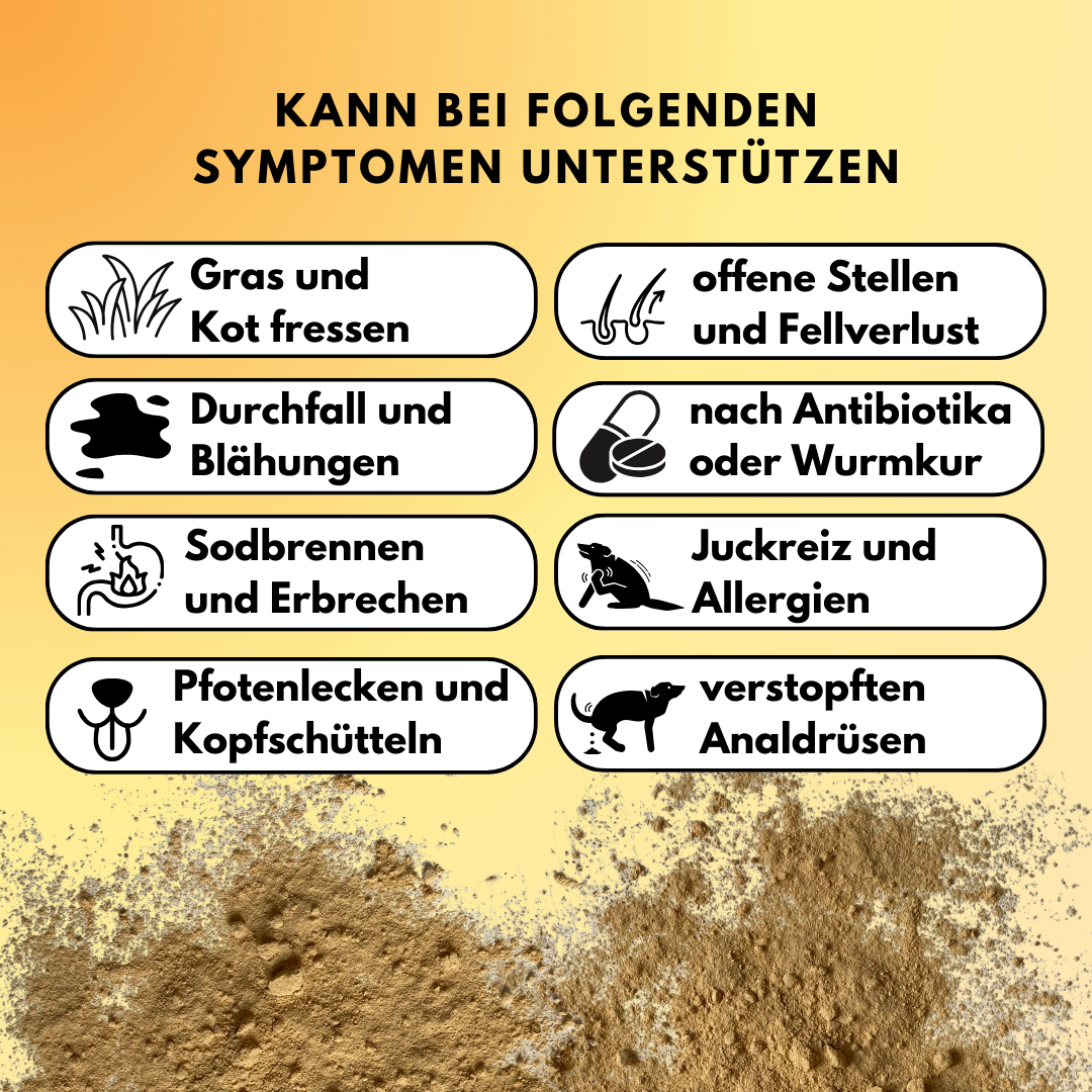 Darmpulver für Hunde mit Prä- & Probiotika, Flohsamenschalen und Inulin (200g) Darmpulver für Hunde mit Prä- & Probiotika, Flohsamenschalen und Inulin (200g)