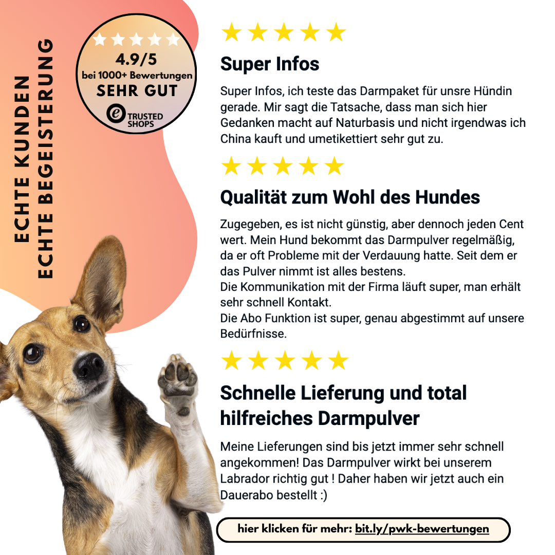 Probiotika Komplex Drops – Vorratsgröße (150 Stk.) | Community Edition mit @richterskleinesrudel_ Probiotika Komplex Drops – Vorratsgröße (150 Stk.) | Community Edition mit @richterskleinesrudel_