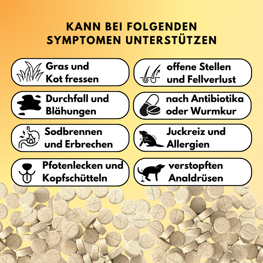 Darmdrops für Hunde mit Prä- & Probiotika, Flohsamenschalen und Inulin (60 Stk.) Darmdrops für Hunde mit Prä- & Probiotika, Flohsamenschalen und Inulin (60 Stk.)