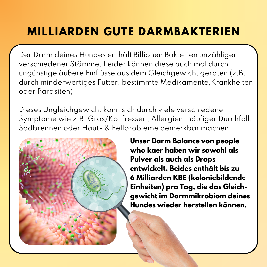 Darmdrops für Hunde mit Prä- & Probiotika, Flohsamenschalen und Inulin (60 Stk.) Darmdrops für Hunde mit Prä- & Probiotika, Flohsamenschalen und Inulin (60 Stk.)