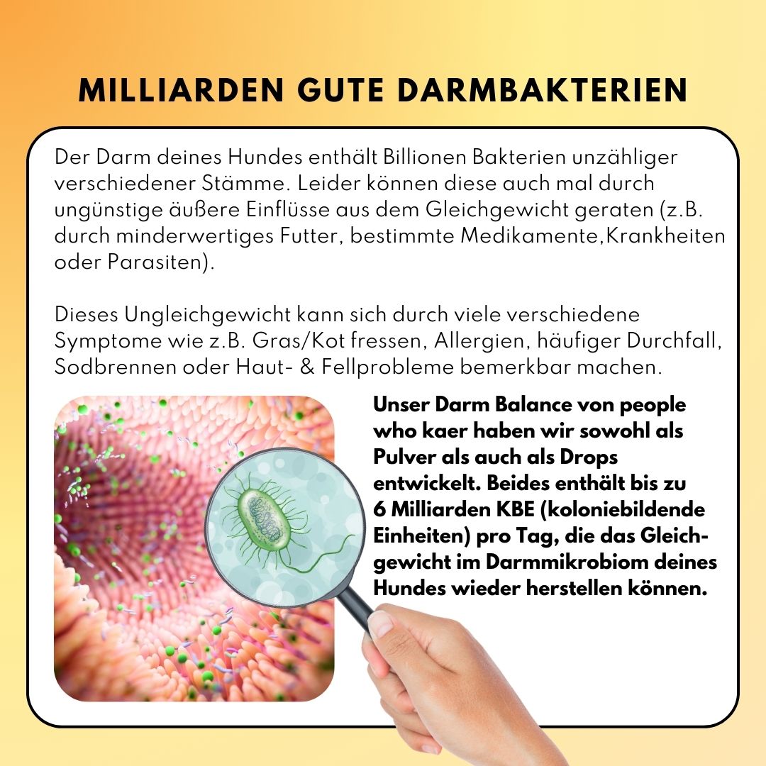 Darm Balance Drops – Vorratsgröße (150 Stk.) | Community Edition mit @richterskleinesrudel_ Darm Balance Drops – Vorratsgröße (150 Stk.) | Community Edition mit @richterskleinesrudel_