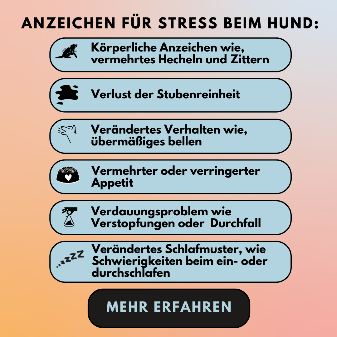 Beruhigungspulver für Hunde mit Taigawurzel, Baldrian, L-Tryptophan und Melisse (200g) Beruhigungspulver für Hunde mit Taigawurzel, Baldrian, L-Tryptophan und Melisse (200g)