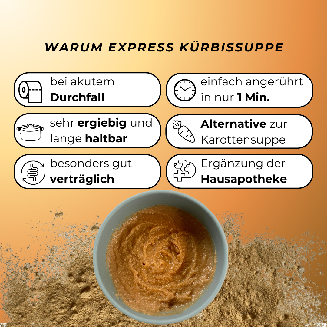 Express Kürbissuppe für Hunde | Sanfte Unterstützung bei Durchfall & sensibler Verdauung (200g) Express Kürbissuppe für Hunde | Sanfte Unterstützung bei Durchfall & sensibler Verdauung (200g)