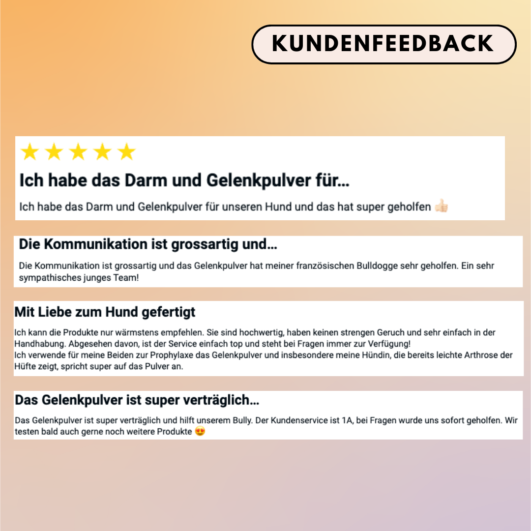 Sparset - "Pulver für Allergiker & Mäkler" (Gelenkpulver + Darmpulver)
