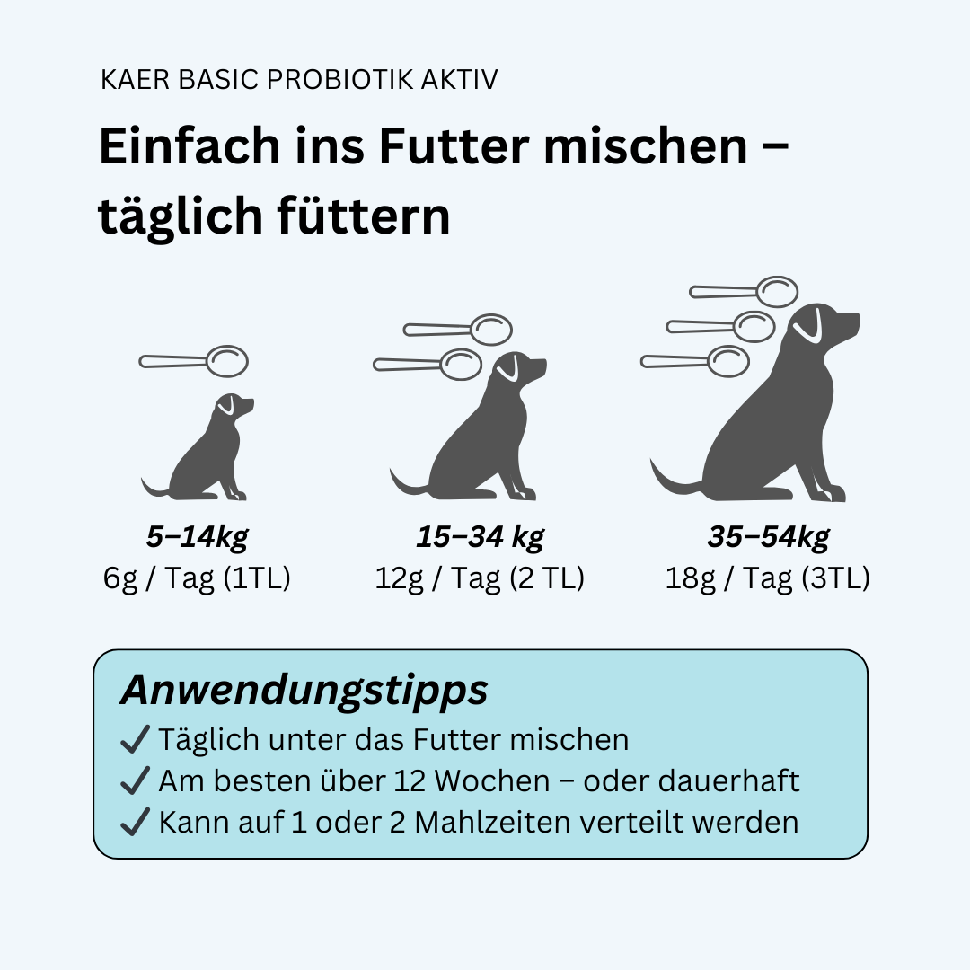 kaer basic Probiotik Aktiv – Natürliches Pulver zum Aufbau der Darmflora. Ideal nach Antibiotika, bei Blähungen oder Kotfressen kaer basic Probiotik Aktiv – Natürliches Pulver zum Aufbau der Darmflora. Ideal nach Antibiotika, bei Blähungen oder Kotfressen