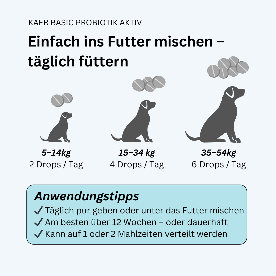 kaer basic Probiotik Aktiv – Funktionale Drops zum Aufbau der Darmflora. Ideal nach Antibiotika, bei Blähungen oder Kotfressen. kaer basic Probiotik Aktiv – Funktionale Drops zum Aufbau der Darmflora. Ideal nach Antibiotika, bei Blähungen oder Kotfressen.