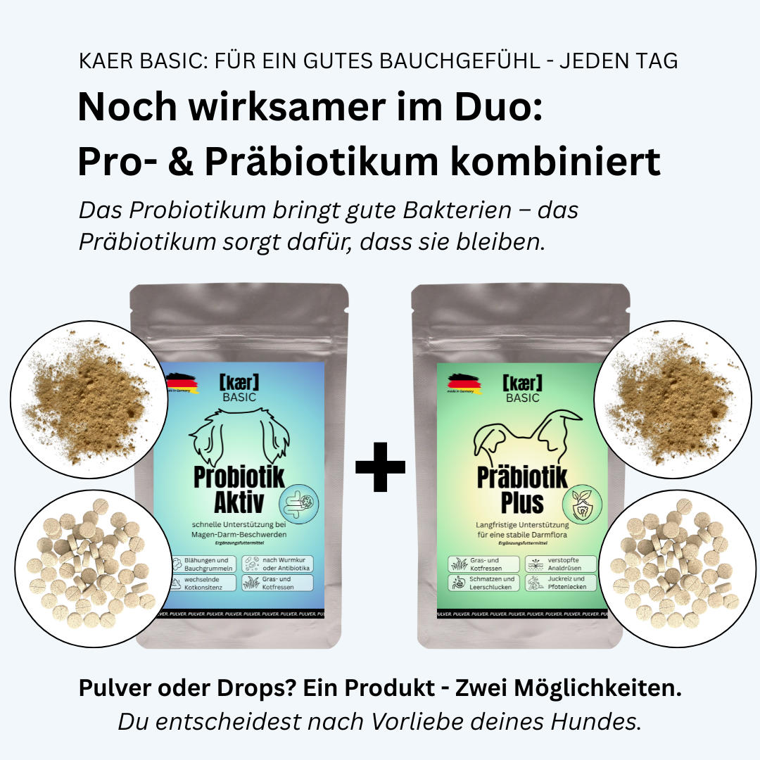kaer basic Probiotik Aktiv – Natürliches Pulver zum Aufbau der Darmflora. Ideal nach Antibiotika, bei Blähungen oder Kotfressen kaer basic Probiotik Aktiv – Natürliches Pulver zum Aufbau der Darmflora. Ideal nach Antibiotika, bei Blähungen oder Kotfressen