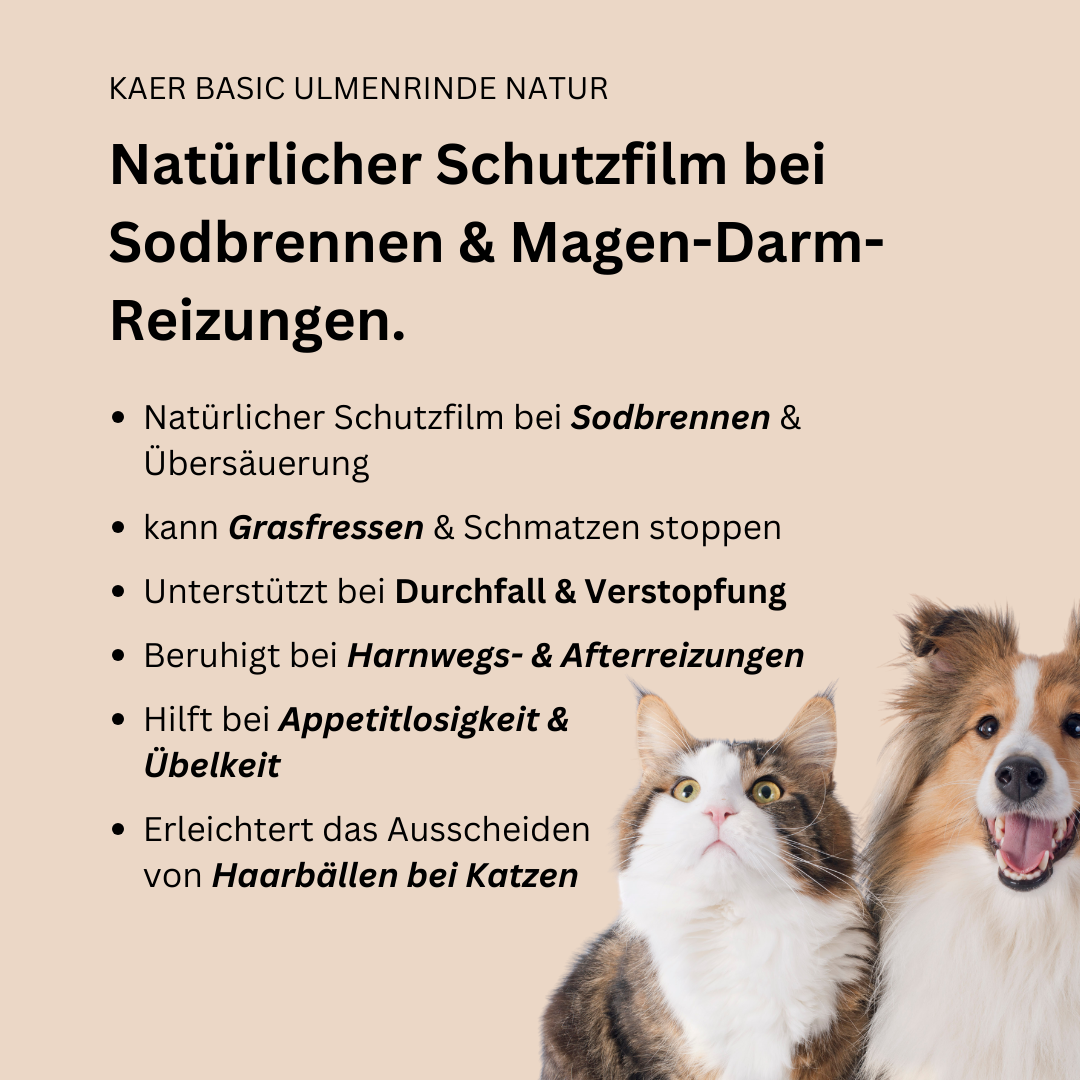 Amerikanische Ulmenrinde – Natürlicher Magenschutz bei Sodbrennen, Leerschlucken und Schmatzen (einfache Zubereitung ohne Aufkochen) Amerikanische Ulmenrinde – Natürlicher Magenschutz bei Sodbrennen, Leerschlucken und Schmatzen (einfache Zubereitung ohne Aufkochen)
