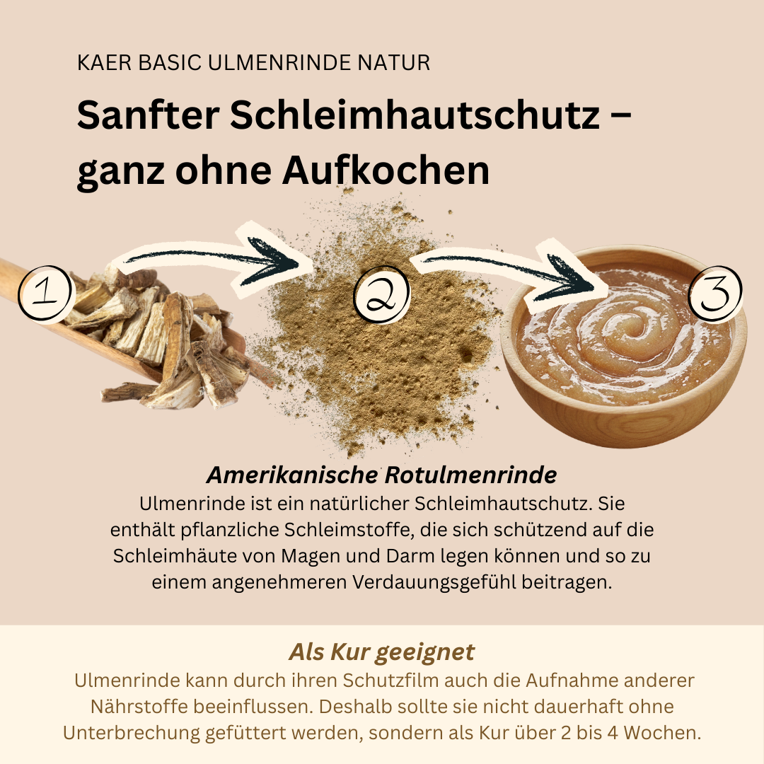 Amerikanische Ulmenrinde – Natürlicher Magenschutz bei Sodbrennen, Leerschlucken und Schmatzen (einfache Zubereitung ohne Aufkochen) Amerikanische Ulmenrinde – Natürlicher Magenschutz bei Sodbrennen, Leerschlucken und Schmatzen (einfache Zubereitung ohne Aufkochen)