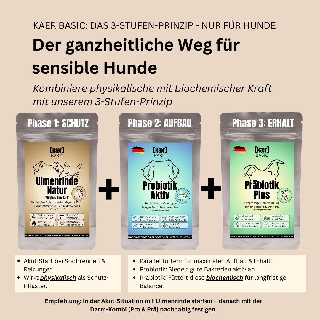 Amerikanische Ulmenrinde – Natürlicher Magenschutz bei Sodbrennen, Leerschlucken und Schmatzen (einfache Zubereitung ohne Aufkochen) Amerikanische Ulmenrinde – Natürlicher Magenschutz bei Sodbrennen, Leerschlucken und Schmatzen (einfache Zubereitung ohne Aufkochen)
