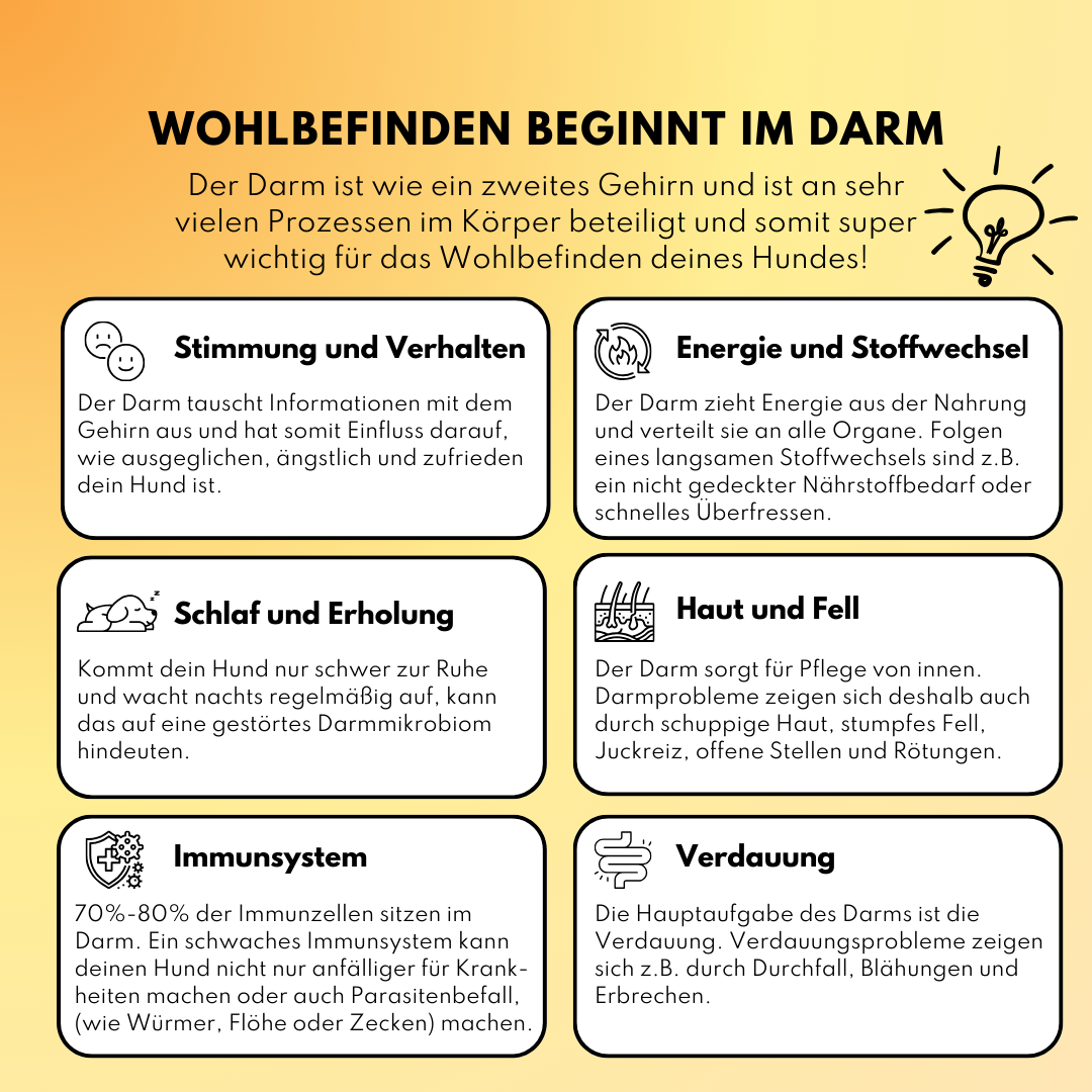 Darmdrops für Hunde mit Prä- & Probiotika, Flohsamenschalen und Inulin (60 Stk.) Darmdrops für Hunde mit Prä- & Probiotika, Flohsamenschalen und Inulin (60 Stk.)
