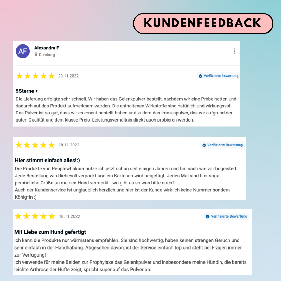 Gelenkpulver für Hunde mit Glucosamin, Grünlippmuschel & Kurkuma (200g) Gelenkpulver für Hunde mit Glucosamin, Grünlippmuschel & Kurkuma (200g)