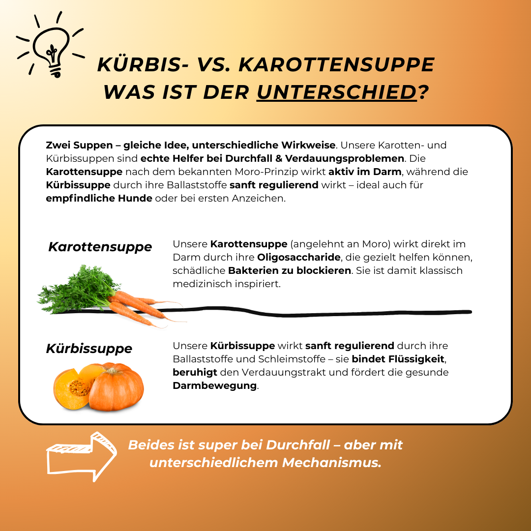 Express Kürbissuppe für Hunde | Sanfte Unterstützung bei Durchfall & sensibler Verdauung (200g) Express Kürbissuppe für Hunde | Sanfte Unterstützung bei Durchfall & sensibler Verdauung (200g)