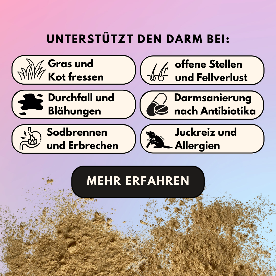 Darmpulver für Hunde mit Prä- & Probiotika, Anis, Kümmel und Flohsamenschalen (200g) Darmpulver für Hunde mit Prä- & Probiotika, Anis, Kümmel und Flohsamenschalen (200g)