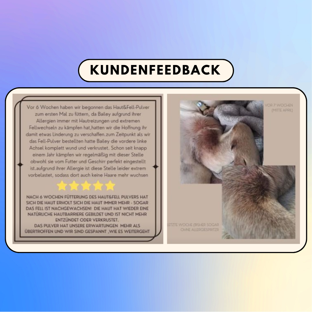 Haut & Fell Pulver für Hunde mit Biotin, Kurkuma, Hyaluron & Bierhefe (200g) Haut & Fell Pulver für Hunde mit Biotin, Kurkuma, Hyaluron & Bierhefe (200g)