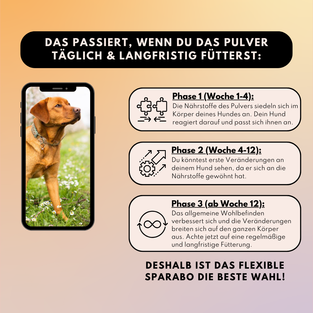 Sparset - "Pulver für Allergiker & Mäkler" (Gelenkpulver + Darmpulver)