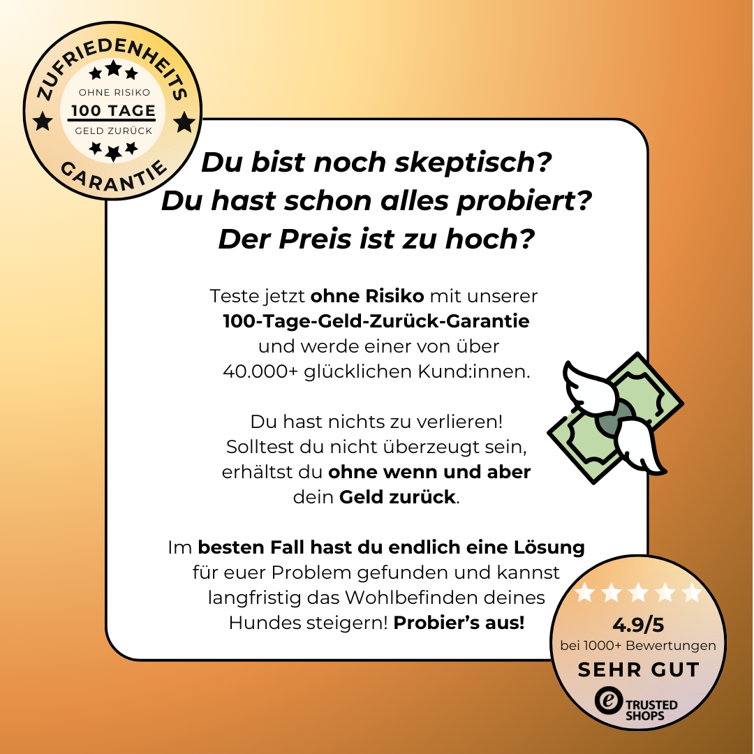 Express Kürbissuppe für Hunde | Sanfte Unterstützung bei Durchfall & sensibler Verdauung (200g) Express Kürbissuppe für Hunde | Sanfte Unterstützung bei Durchfall & sensibler Verdauung (200g)
