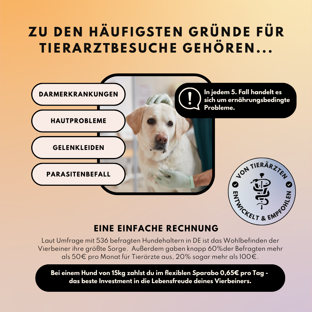 Sparset - "Pulver für Allergiker & Mäkler" (Gelenkpulver + Darmpulver)