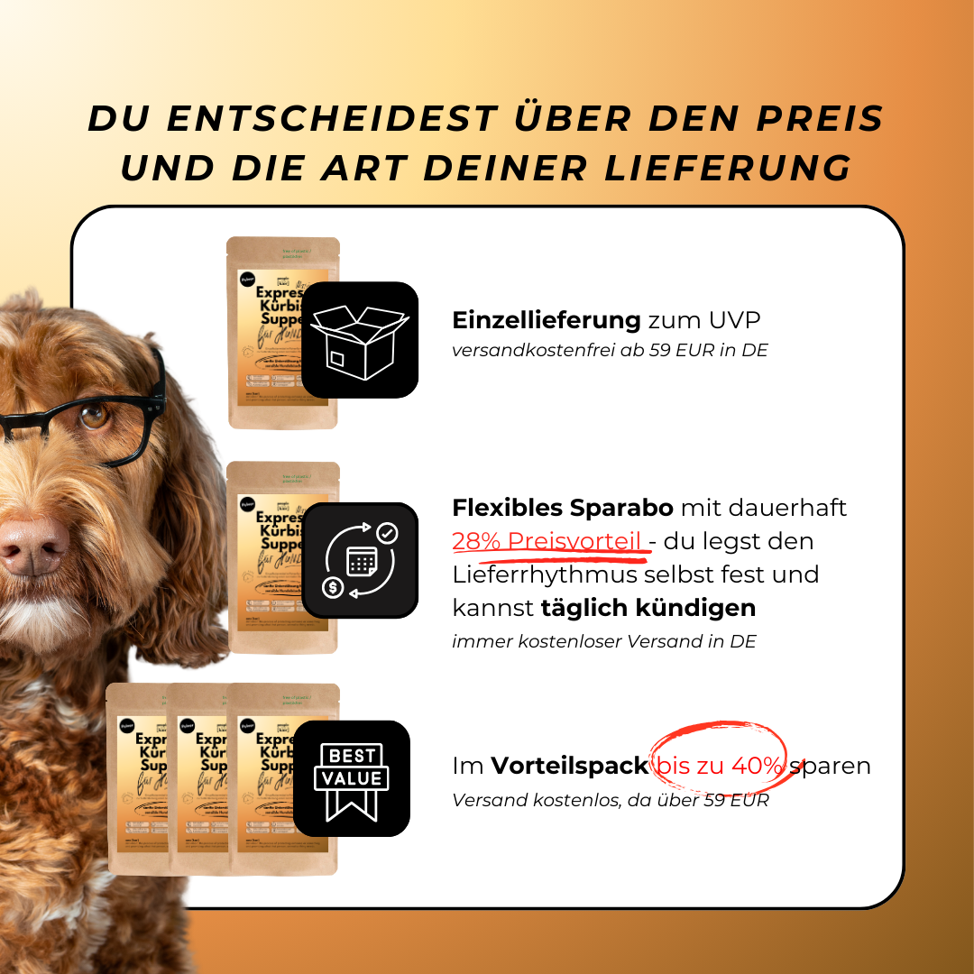 Express Kürbissuppe für Hunde | Sanfte Unterstützung bei Durchfall & sensibler Verdauung (200g) Express Kürbissuppe für Hunde | Sanfte Unterstützung bei Durchfall & sensibler Verdauung (200g)