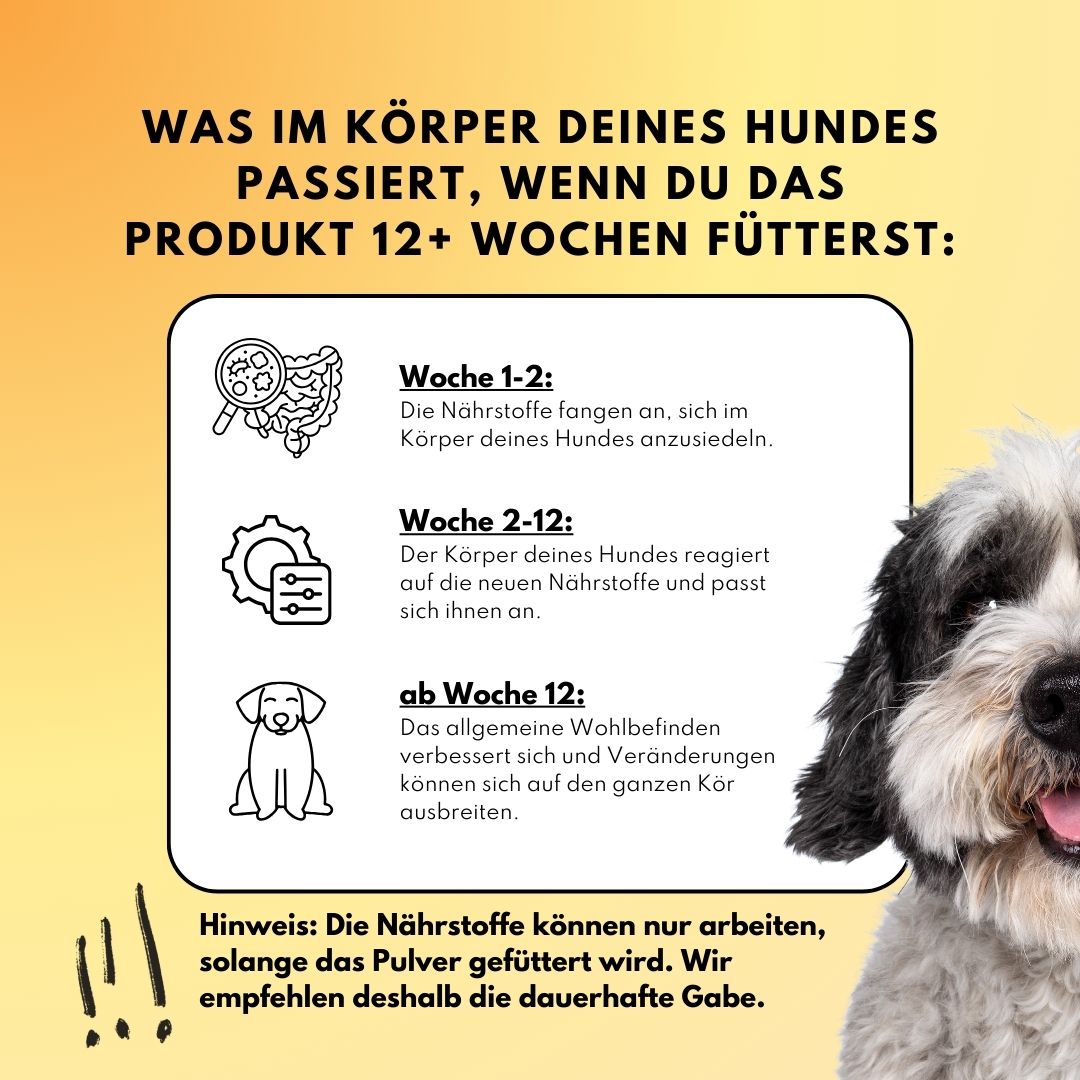 Darm Balance Drops – Vorratsgröße (150 Stk.) | Community Edition mit @richterskleinesrudel_ Darm Balance Drops – Vorratsgröße (150 Stk.) | Community Edition mit @richterskleinesrudel_