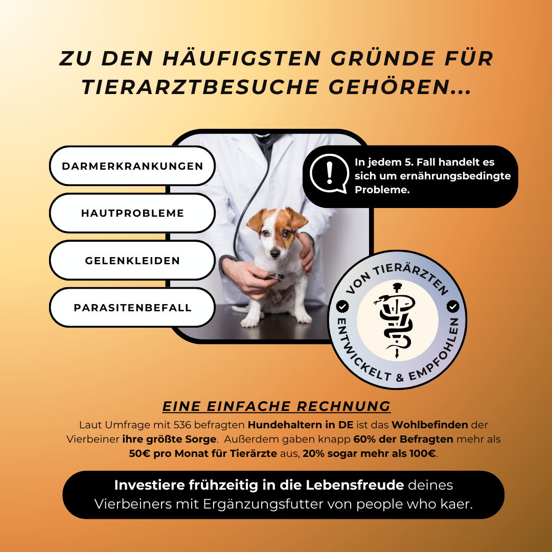 Express Kürbissuppe (kurzes MHD) | Sanfte Unterstützung bei Durchfall & sensibler Verdauung (200g) Express Kürbissuppe (kurzes MHD) | Sanfte Unterstützung bei Durchfall & sensibler Verdauung (200g)