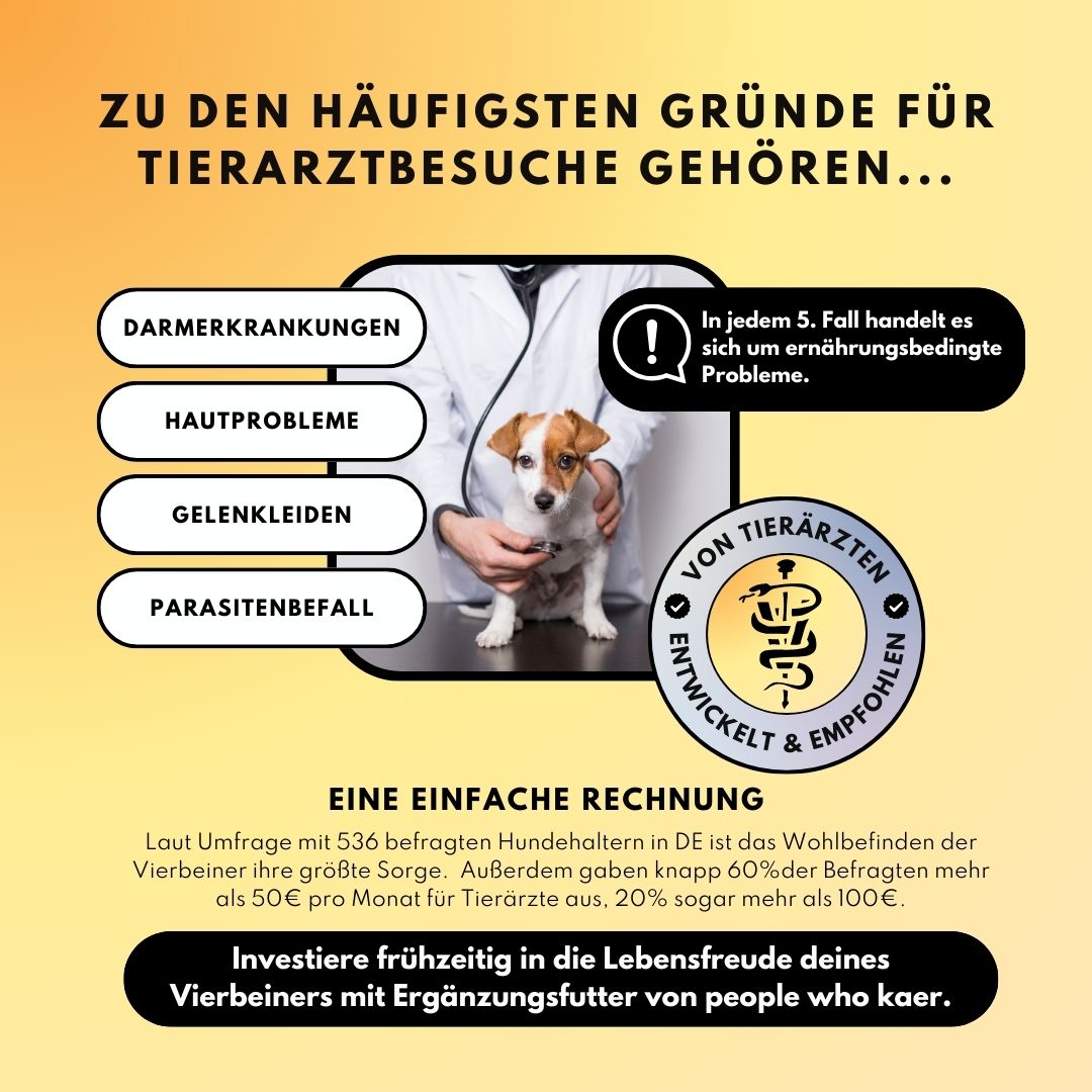 Darm Balance Drops – Vorratsgröße (150 Stk.) | Community Edition mit @richterskleinesrudel_ Darm Balance Drops – Vorratsgröße (150 Stk.) | Community Edition mit @richterskleinesrudel_