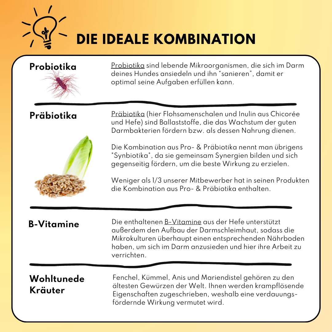 Darmdrops für Hunde mit Prä- & Probiotika, Flohsamenschalen und Inulin (60 Stk.) Darmdrops für Hunde mit Prä- & Probiotika, Flohsamenschalen und Inulin (60 Stk.)