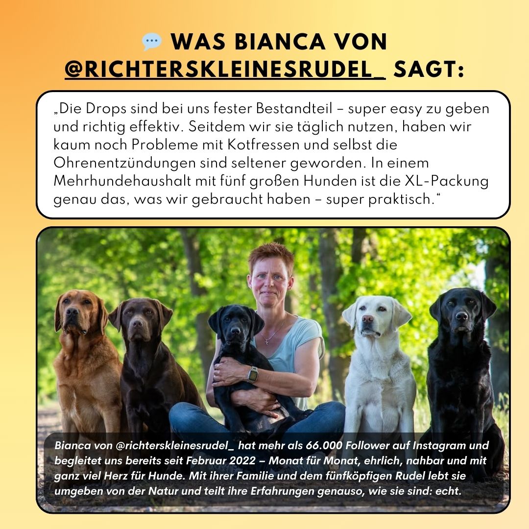 Darm Balance Drops – Vorratsgröße (150 Stk.) | Community Edition mit @richterskleinesrudel_ Darm Balance Drops – Vorratsgröße (150 Stk.) | Community Edition mit @richterskleinesrudel_