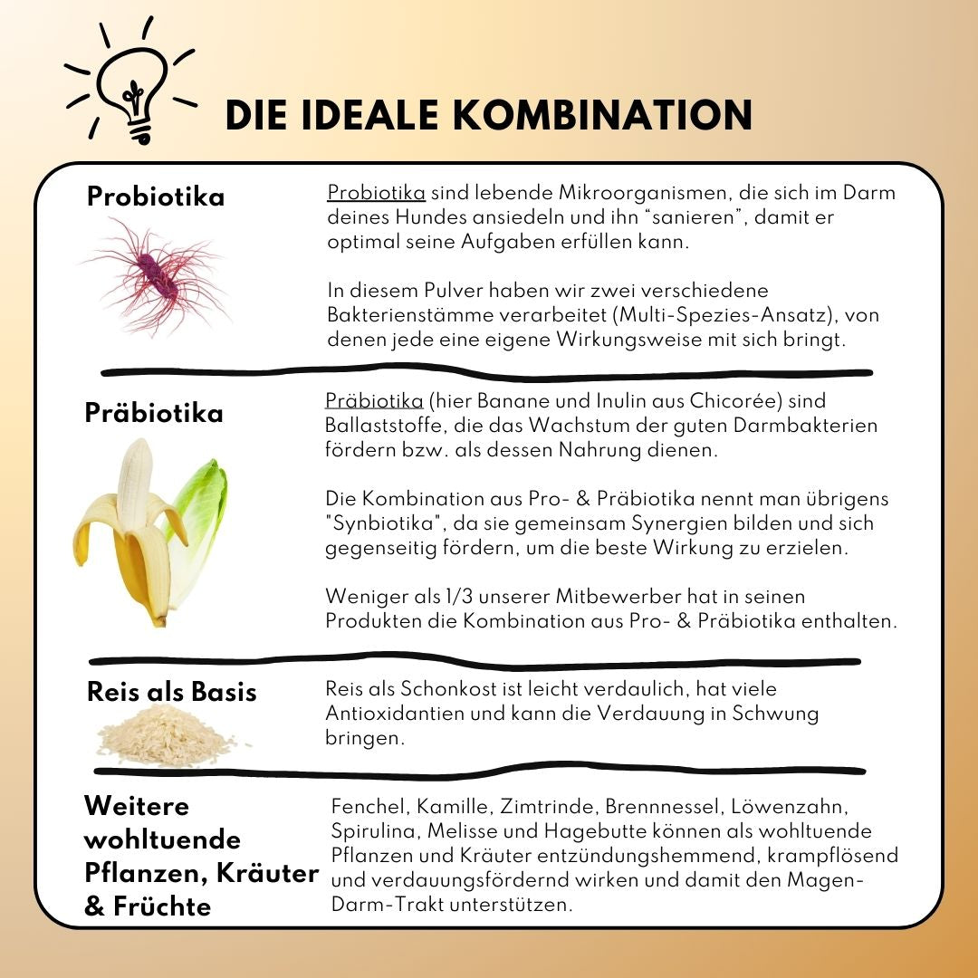 Darmpulver für Allergiker und Mäkler (200g) Darmpulver für Allergiker und Mäkler (200g)