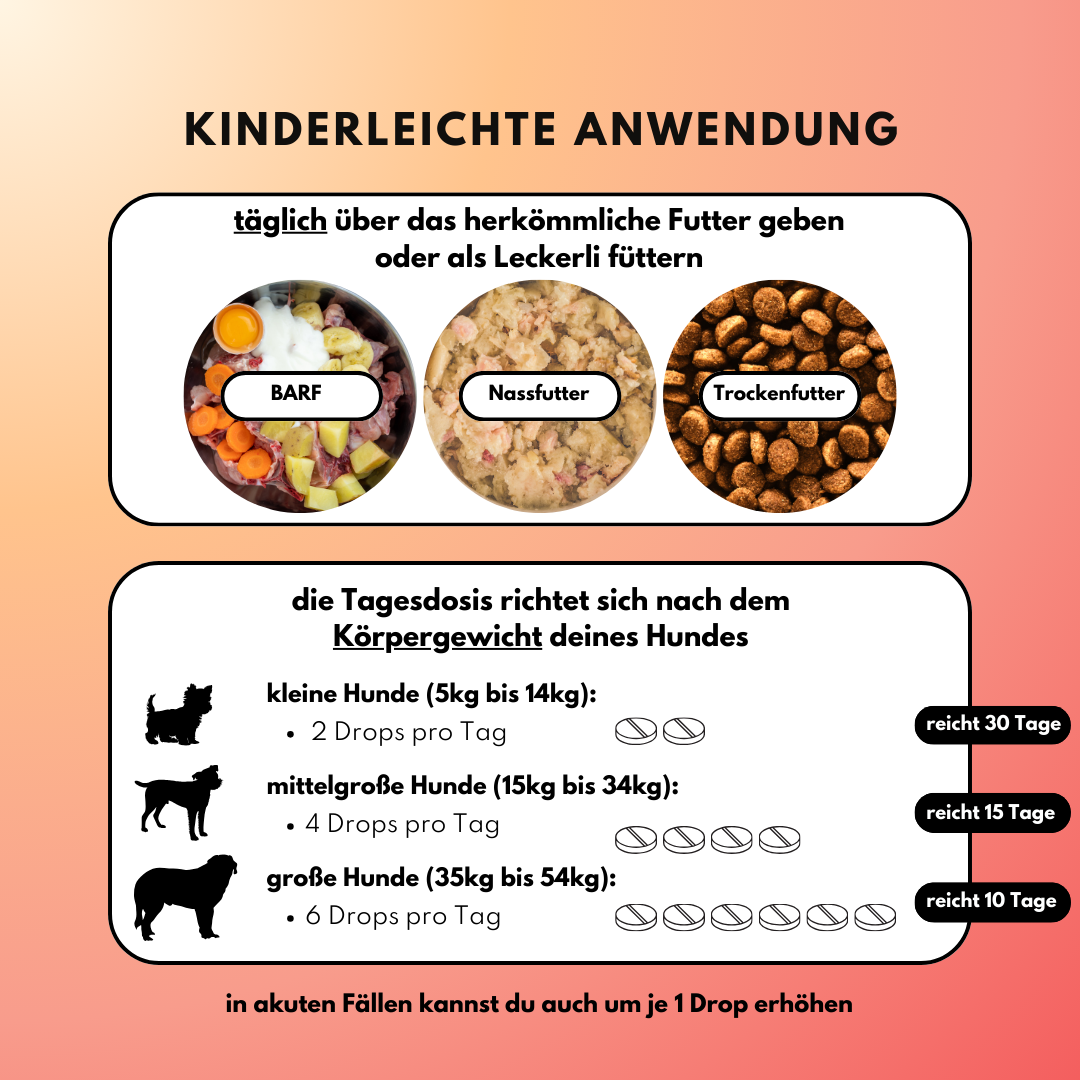 Probiotika Komplex Drops – Vorratsgröße (150 Stk.) | Community Edition mit @richterskleinesrudel_ Probiotika Komplex Drops – Vorratsgröße (150 Stk.) | Community Edition mit @richterskleinesrudel_