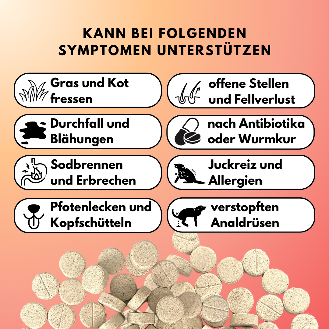 Probiotika Komplex Drops mit wertvollen Bakterienkulturen & Ballaststoffen (60 Stk.) Probiotika Komplex Drops mit wertvollen Bakterienkulturen & Ballaststoffen (60 Stk.)