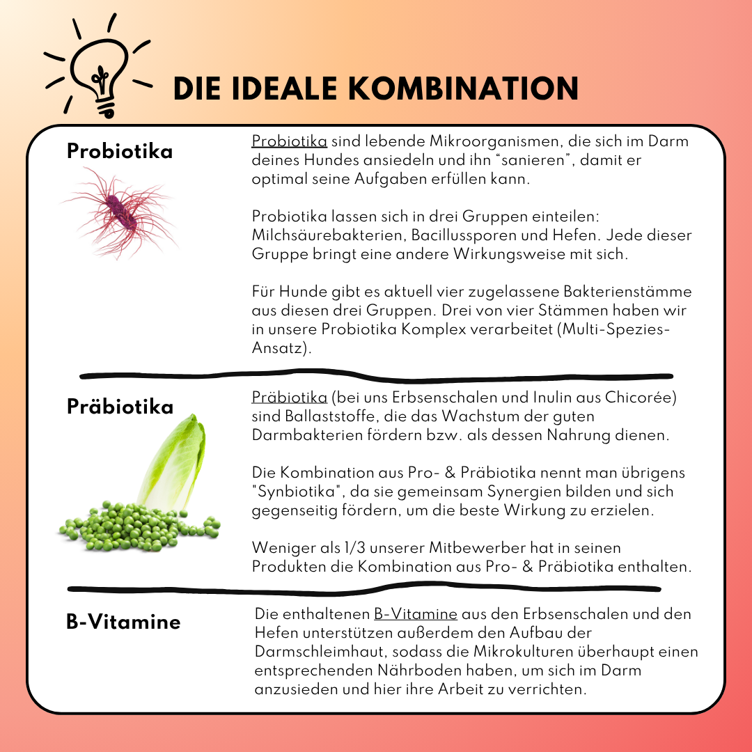Probiotika Komplex Pulver mit Milliarden guten Darmbakterien Probiotika Komplex Pulver mit Milliarden guten Darmbakterien