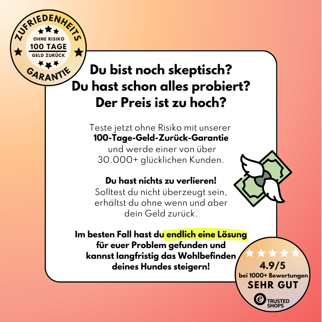 Probiotika Komplex Drops – Vorratsgröße (150 Stk.) | Community Edition mit @richterskleinesrudel_ Probiotika Komplex Drops – Vorratsgröße (150 Stk.) | Community Edition mit @richterskleinesrudel_